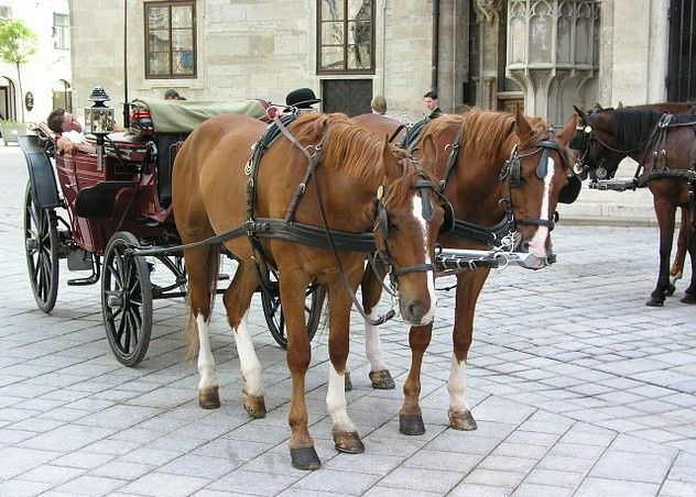 BEČ
