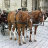 Beč - -Beč - carski grad - hofburg - senbrun - kobasice - pivo - jeftina ponuda - city break - mangatrip - bec ponuda - evropske destinacije - prolecna putovanja - nova godina - jesenja putovanja - 