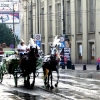 Krakov