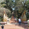 Tajland- Chang Mai-hramovi