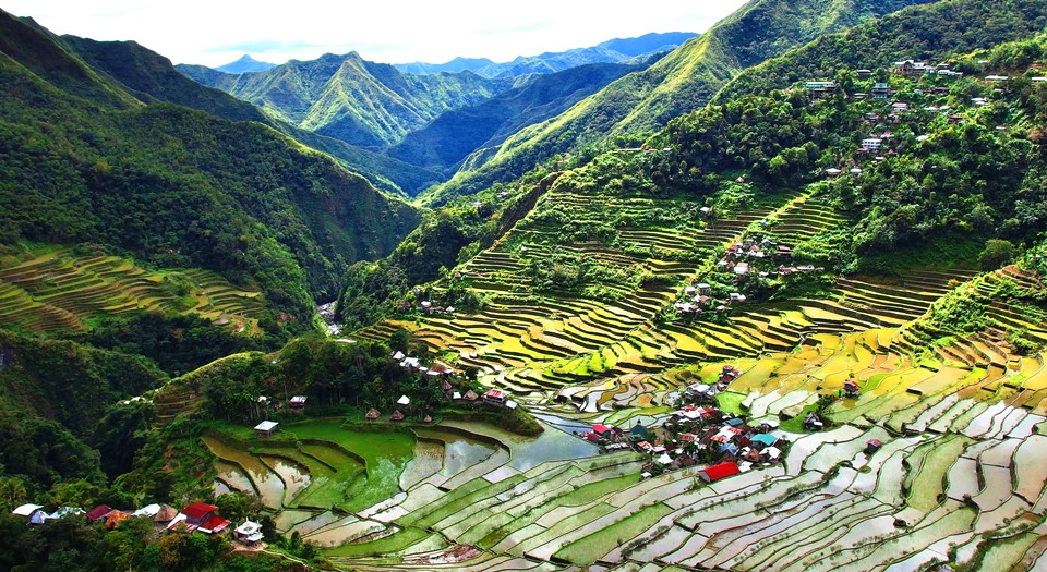 Banaue - Pirinčana polja