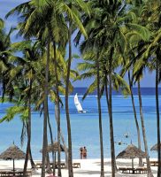 Dream of Zanzibar- Zanzibar 3