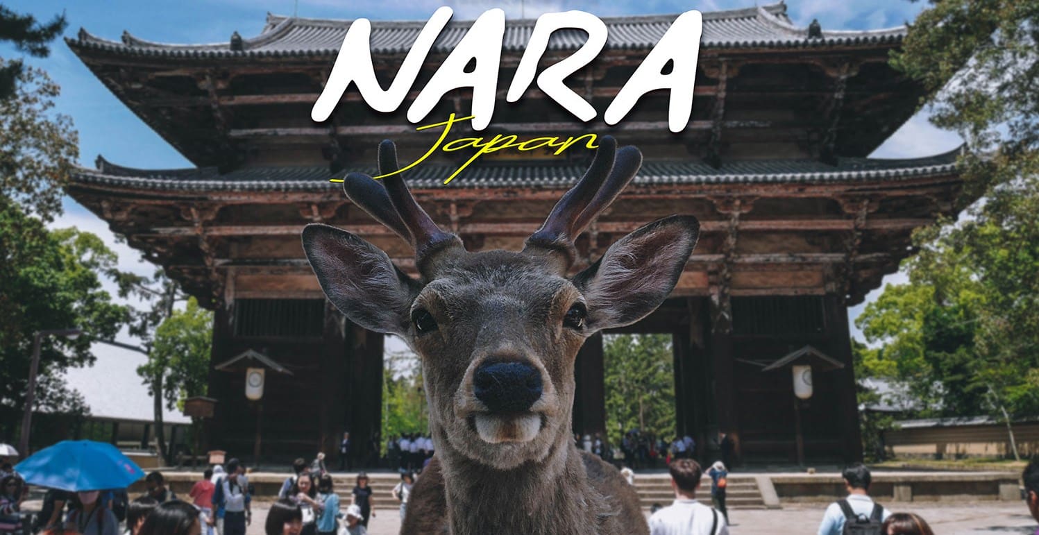 izlet u Naru, Japan Nara