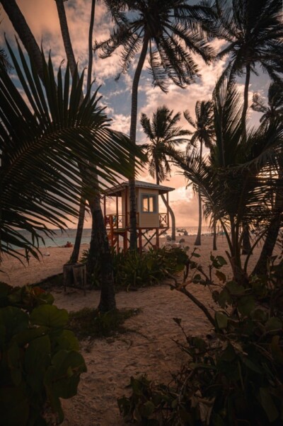 kolumbija, bogota, leto 2024, letovanje 2024, putovanje, travel, Kolumbija putovanja popusti, popusti putovanja, amerika, Medeljin, Kartahena, kolumbija aranžmani, kolumbija putovanje