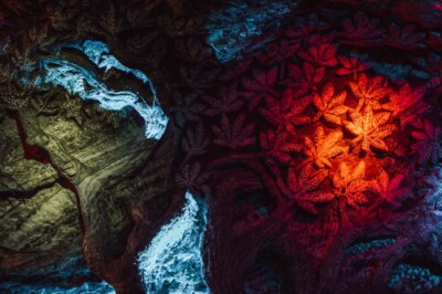 kolumbija, bogota, leto 2024, letovanje 2024, putovanje, travel, Kolumbija putovanja popusti, popusti putovanja, amerika, Medeljin, Kartahena, kolumbija aranžmani, kolumbija putovanje