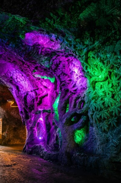 kolumbija, bogota, leto 2024, letovanje 2024, putovanje, travel, Kolumbija putovanja popusti, popusti putovanja, amerika, Medeljin, Kartahena, kolumbija aranžmani, kolumbija putovanje