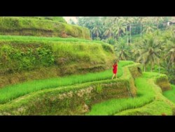 BALI AVANTURA by MangaTrip & Whatifness BALI AVANTURA by MangaTrip & Whatifness
