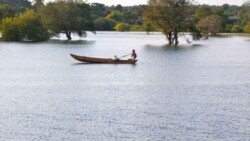 Sri Lanka - dzungla - pirinac - plantaze - caj - polja - seljaci - siromastvo