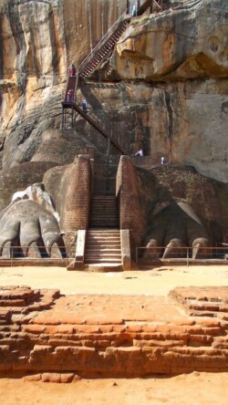 Sri Lanka - Sigiriya - Lavlja - stena - rusevine - kraljevstvo