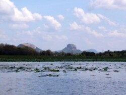 Sri Lanka - Sigiriya - Sigirija - jezero