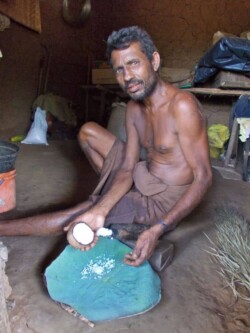 Sri Lanka - dzungla - pirinac - plantaze - caj - polja - seljaci - siromastvo - domoroci - lokalci -bungalovi -