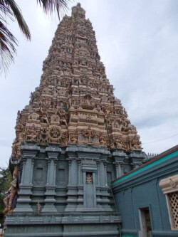 Sri Lanka - hram - biblioteka - kralj - polonaruva - kraljevstvo - budisti - hinduisti - monasi - dambula - pecine - bude - statue - molitva