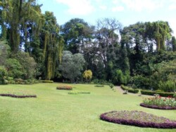 Sri Lanka -- kendi - kandy - grad - centar - suma - botanicka basta - ljudi - stanovnistvo - budin zub - hram -