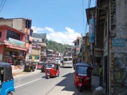 Sri Lanka - - kendi - kandy - grad - centar - suma - botanicka basta - ljudi - stanovnistvo - budin zub - hram -