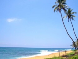 Sri Lanka - okean - more - plaza - dugacka plaza - palme - zut pesak - sitan pesak - tirkizno more - talasi - hrana - barovi