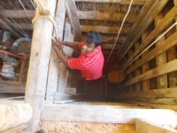 Sri Lanka - okean - more - plaza - dugacka plaza - palme - zut pesak - sitan pesak - tirkizno more - talasi - hrana - barovi - kornjace - farma kornjaca - moonstone mine - rudnik mesecevog kamena - topaz - mesecev kamen - safir - plavi safir