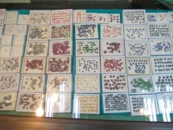 Sri Lanka - okean - more - plaza - dugacka plaza - palme - zut pesak - sitan pesak - tirkizno more - talasi - hrana - barovi - kornjace - farma kornjaca - moonstone mine - rudnik mesecevog kamena - topaz - mesecev kamen - safir - plavi safir