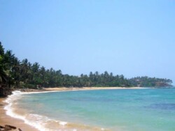 Sri Lanka - okean - more - plaza - dugacka plaza - palme - zut pesak - sitan pesak - tirkizno more - talasi - hrana - barovi - kornjace - farma kornjaca - moonstone mine - rudnik mesecevog kamena - topaz - mesecev kamen - safir - plavi safir - more - plaza - okean - tirkizna - palme - sitan pesak - zut pesak - lepota - hikaduwa - mirisa - unawatuna
