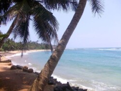Sri Lanka - okean - more - plaza - dugacka plaza - palme - zut pesak - sitan pesak - tirkizno more - talasi - hrana - barovi - kornjace - farma kornjaca - moonstone mine - rudnik mesecevog kamena - topaz - mesecev kamen - safir - plavi safir - more - plaza - okean - tirkizna - palme - sitan pesak - zut pesak - lepota - hikaduwa - mirisa - unawatuna