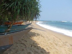 Sri Lanka - okean - more - plaza - dugacka plaza - palme - zut pesak - sitan pesak - tirkizno more - talasi - hrana - barovi - kornjace - farma kornjaca - moonstone mine - rudnik mesecevog kamena - topaz - mesecev kamen - safir - plavi safir - more - plaza - okean - tirkizna - palme - sitan pesak - zut pesak - lepota - hikaduwa - mirisa - unawatuna