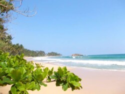 Sri Lanka - okean - more - plaza - dugacka plaza - palme - zut pesak - sitan pesak - tirkizno more - talasi - hrana - barovi - kornjace - farma kornjaca - moonstone mine - rudnik mesecevog kamena - topaz - mesecev kamen - safir - plavi safir - more - plaza - okean - tirkizna - palme - sitan pesak - zut pesak - lepota - hikaduwa - mirisa - unawatuna