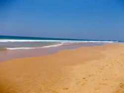 Sri Lanka - okean - more - plaza - dugacka plaza - palme - zut pesak - sitan pesak - tirkizno more - talasi - hrana - barovi - kornjace - farma kornjaca - moonstone mine - rudnik mesecevog kamena - topaz - mesecev kamen - safir - plavi safir - more - plaza - okean - tirkizna - palme - sitan pesak - zut pesak - lepota - hikaduwa - mirisa - unawatuna