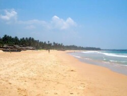 Sri Lanka - okean - more - plaza - dugacka plaza - palme - zut pesak - sitan pesak - tirkizno more - talasi - hrana - barovi - kornjace - farma kornjaca - moonstone mine - rudnik mesecevog kamena - topaz - mesecev kamen - safir - plavi safir - more - plaza - okean - tirkizna - palme - sitan pesak - zut pesak - lepota - hikaduwa - mirisa - unawatuna
