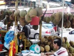 durian-fruit-kuala-lumpur-malezija