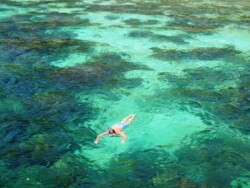 palau-payar-malezija