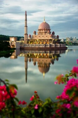 Stock photograph of the Putra Mosque in Putrajaya, Malaysia showing the warm pink tiles. The mosque is reflected in the water of the lake at dawn and framed by pink bougainvillea.