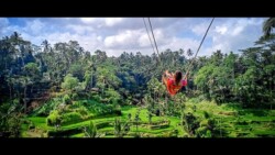 BALI - Ostrvo bogova - Manga Trip